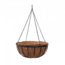 12" Saxon Hanging Basket