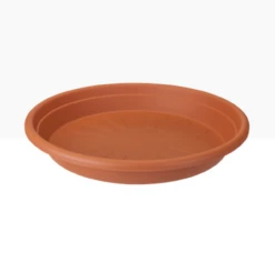 Universal Saucer Round 40cm Terra